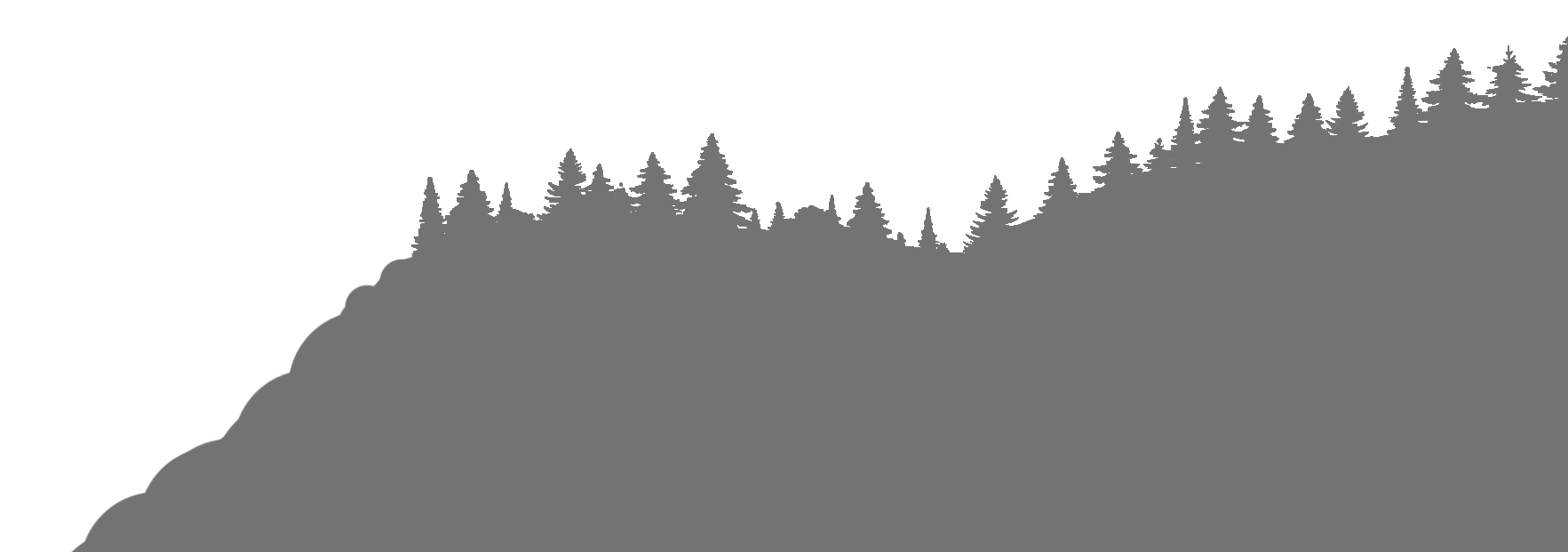 Schwarzwald4
